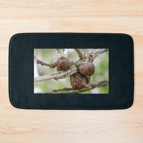 Item preview, Wasp Gall: Old Enough to Leave Home designed and sold by circa24.