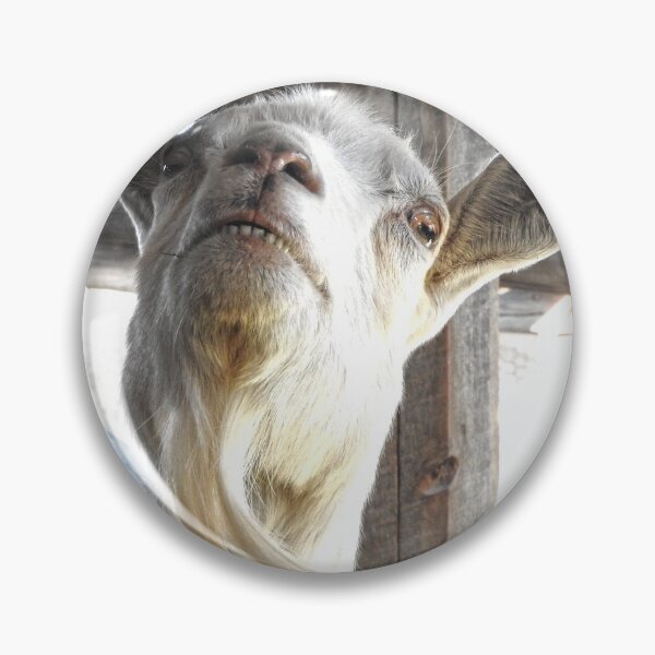 Item preview, funny smilling goat face, goat beard designed and sold by Stephanie  Skeem.