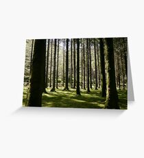 Guagan Barra, County Cork Greeting Card