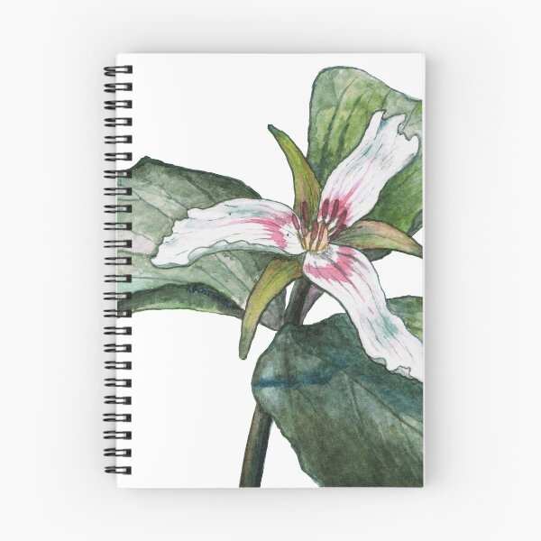 Item preview, Painted Trillium designed and sold by BeyondThePOST.