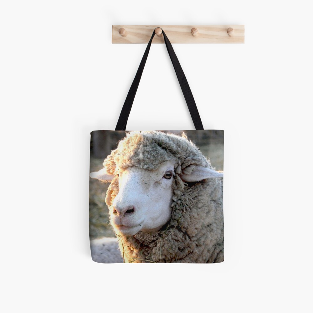 Ravelry: Sheep Lamb Project Bag pattern by Briana K Designs