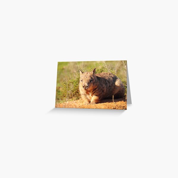 The Bulldozer Greeting Card
