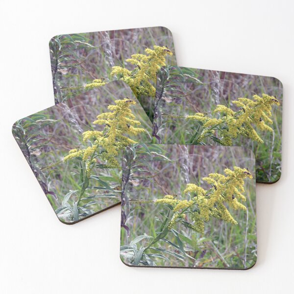 Item preview, Good Eats designed and sold by circa24.