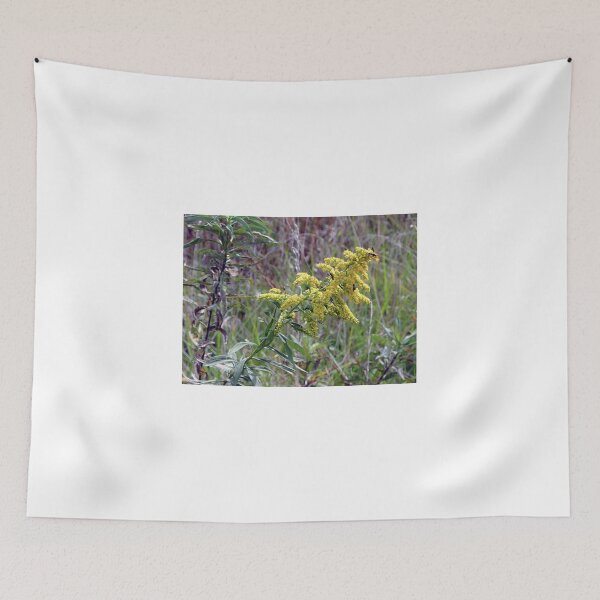 Item preview, Good Eats designed and sold by circa24.