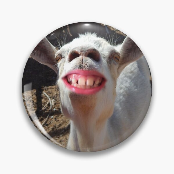 Item preview, funny smiling goat  designed and sold by Stephanie  Skeem.