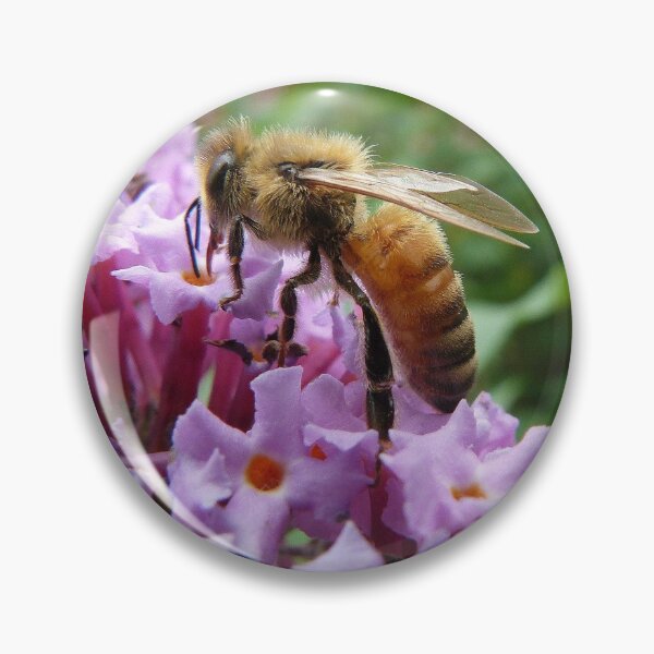 Item preview, Honey Bee designed and sold by Trish Meyer.