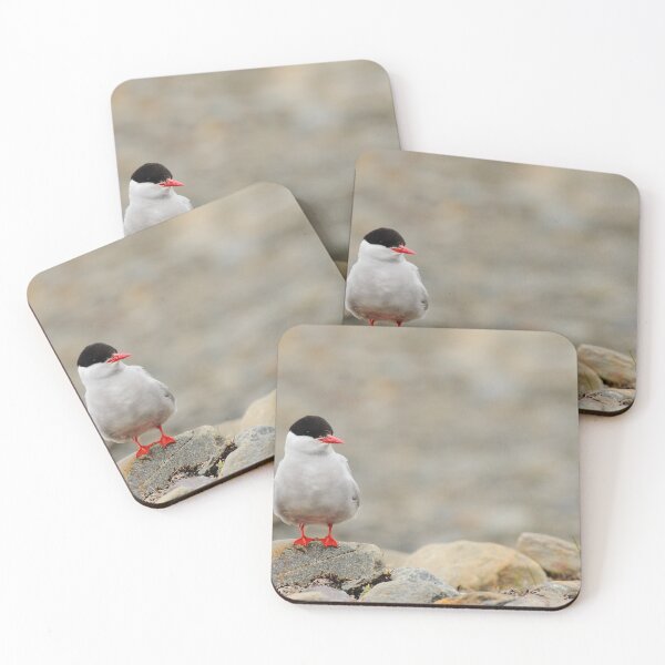 Item preview, Tern To The Left designed and sold by CBoyle.