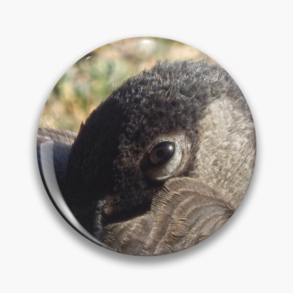 Item preview, sleeping Canadian goose designed and sold by Stephanie  Skeem.