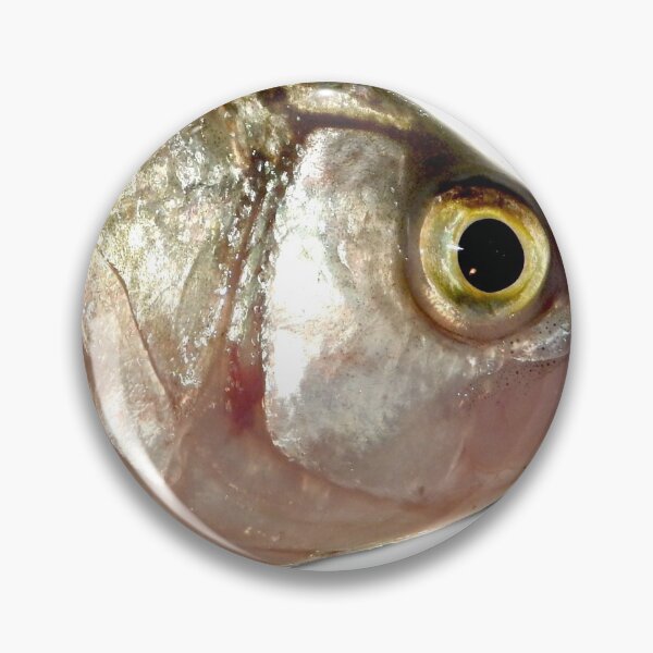 Item preview, Fish head, fish pattern designed and sold by Stephanie  Skeem.