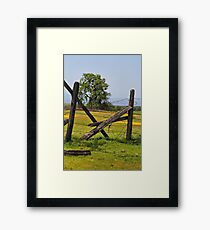 Spring in Northern California Framed Print