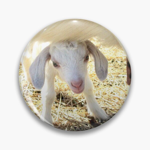 Item preview, leche de mamma, cabrito designed and sold by Stephanie Skeem.