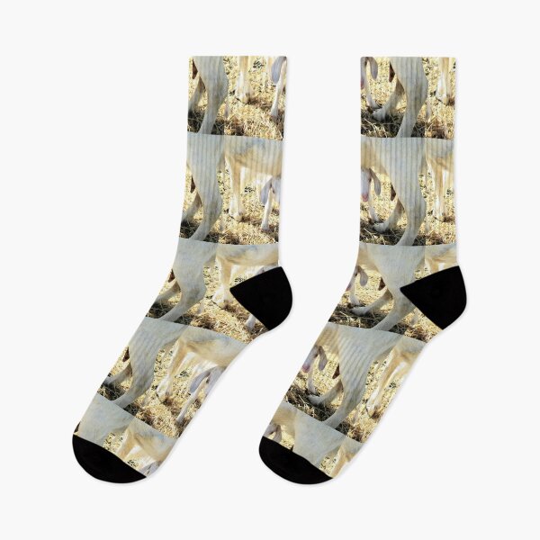 Item preview, leche de mamma, cabrito designed and sold by Stephanie Skeem.