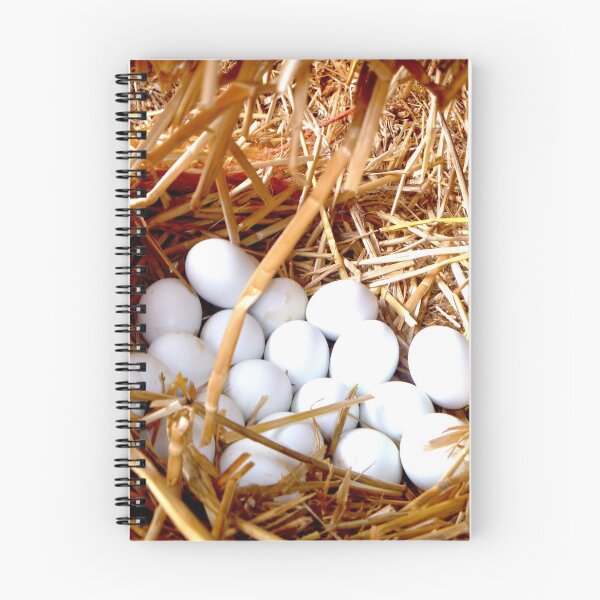 Item preview, nest of eggs in straw designed and sold by Stephanie  Skeem.