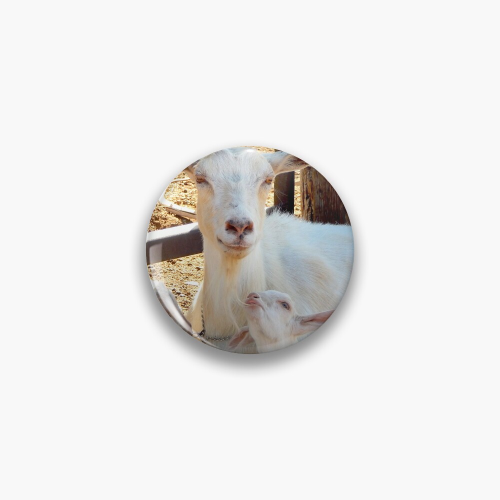 Pin on Goats