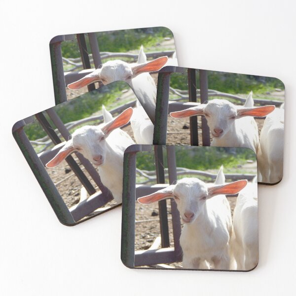 Item preview, funny goat ears, baby goats designed and sold by Stephanie  Skeem.