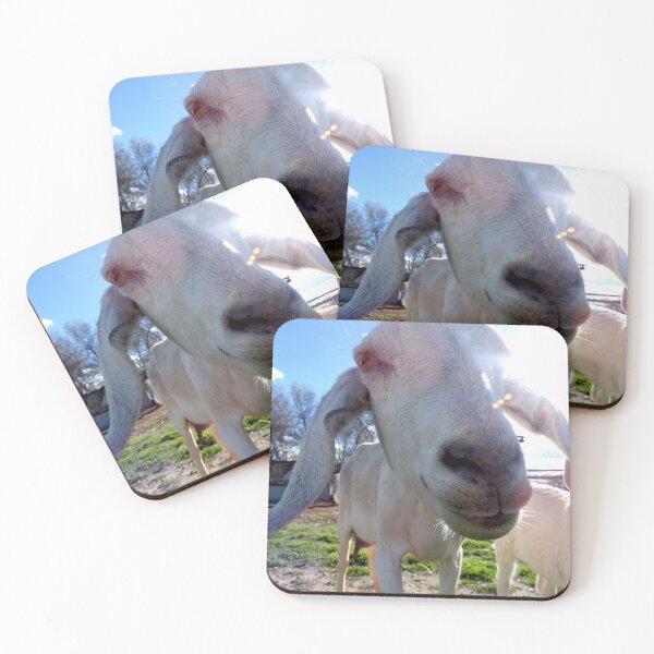 Item preview, funny goat face, goat close up, nose designed and sold by Stephanie  Skeem.