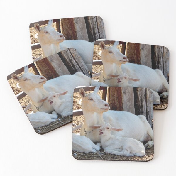 Item preview, white baby goat yawning designed and sold by Stephanie  Skeem.