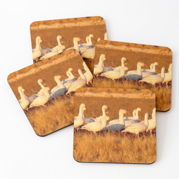 Item preview, Beautiful snow geese at sunset  designed and sold by Stephanie  Skeem.