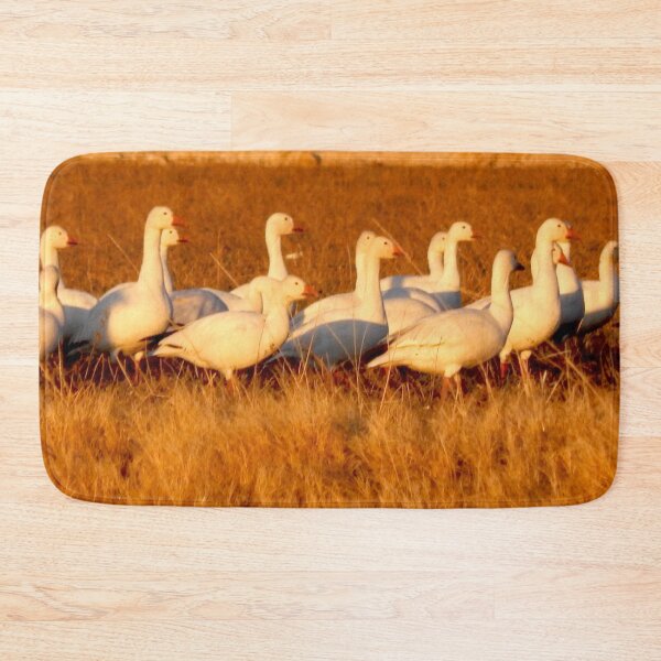 Item preview, Beautiful snow geese at sunset  designed and sold by Stephanie  Skeem.