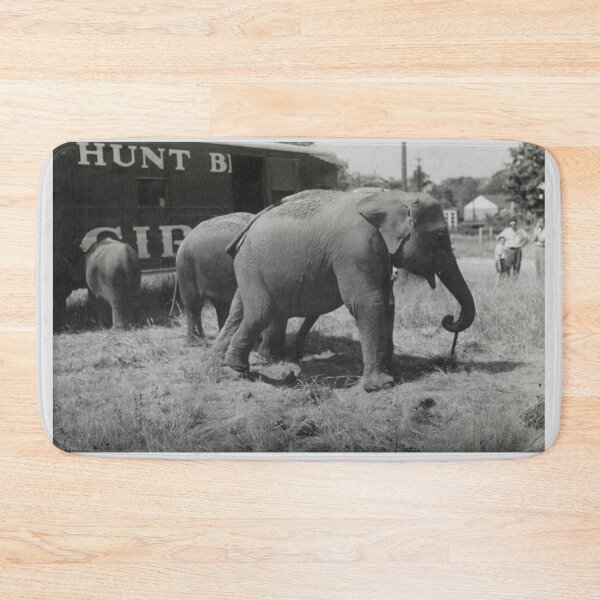 Item preview, Circus Elephants - Black And White Photograph designed and sold by Slydell1.