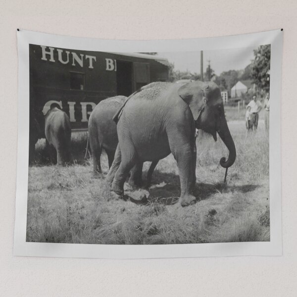 Item preview, Circus Elephants - Black And White Photograph designed and sold by Slydell1.