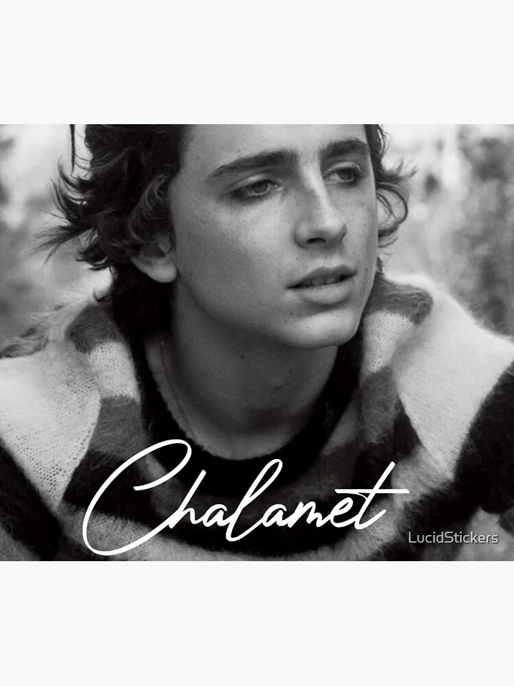 "Timothée Chalamet Design " Throw Blanket for Sale by LucidStickers
