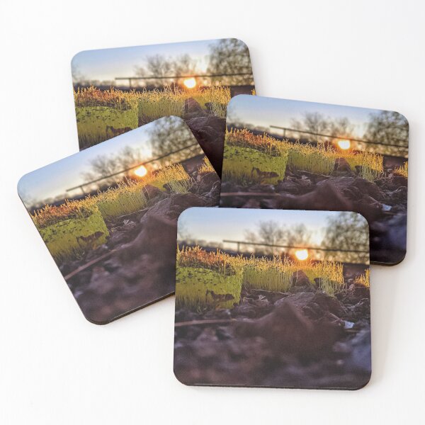Item preview, Mossy Grove  designed and sold by giftoftradition.
