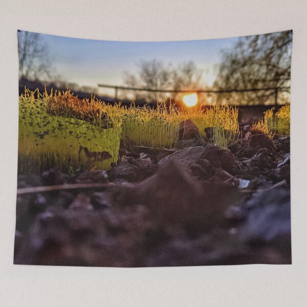 Item preview, Mossy Grove  designed and sold by giftoftradition.