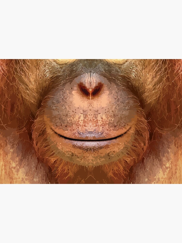 Orangutan Face by JasperBenoit
