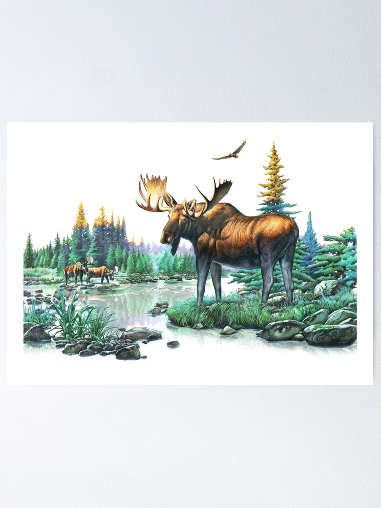 Moose Creek Wall Art