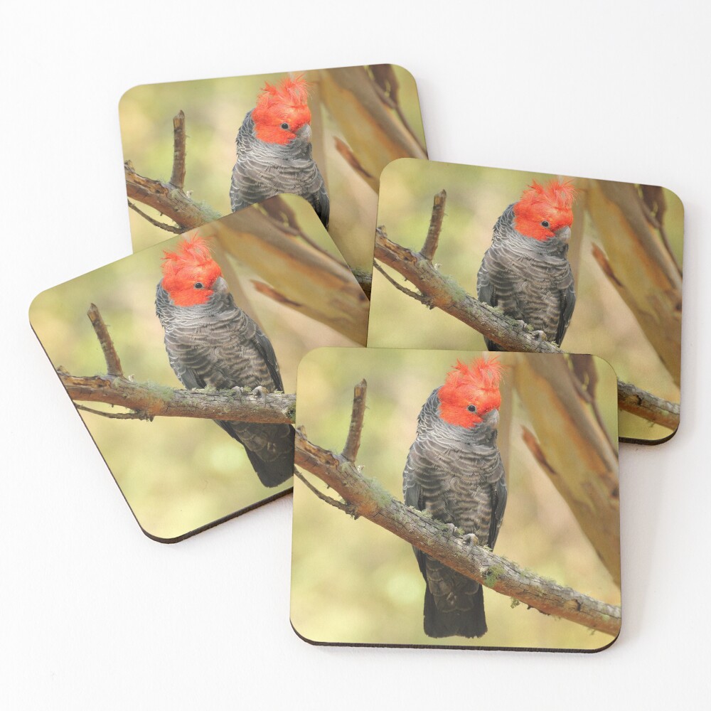 Item preview, Coasters (Set of 4) designed and sold by CBoyle.