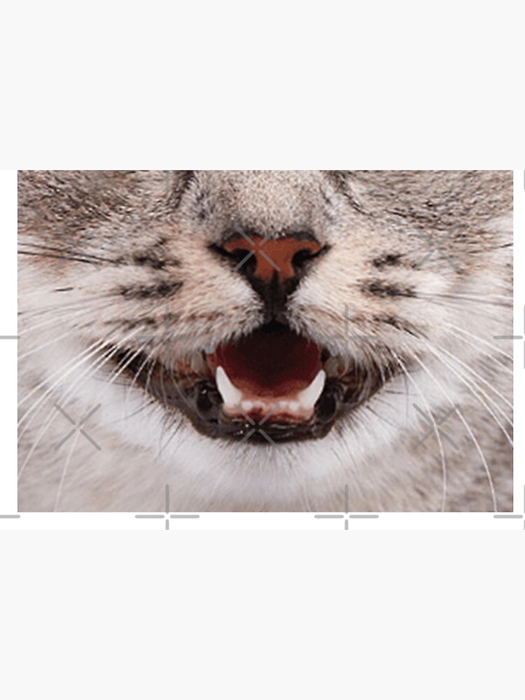 Cat Nose and Mouth ~ Cute and Funny Animal Medical Face Masks ~ 2 by Neon-Wolf