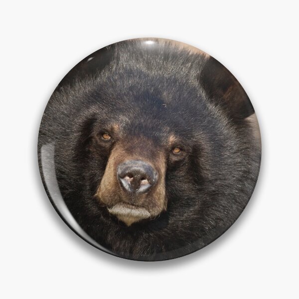 Item preview, Asian Black Bear designed and sold by Dominika Aniola.