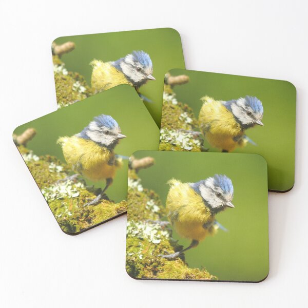 Item preview, Ready to Spring designed and sold by CBoyle.