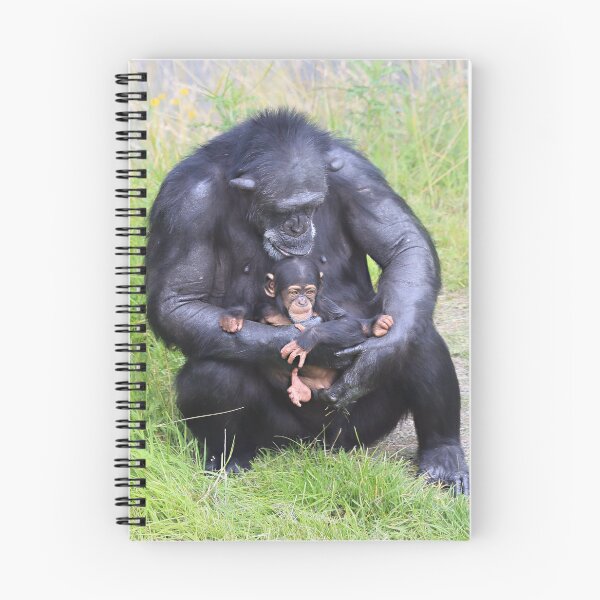 Item preview, Chimpanzee and Baby designed and sold by Sheila Smith.