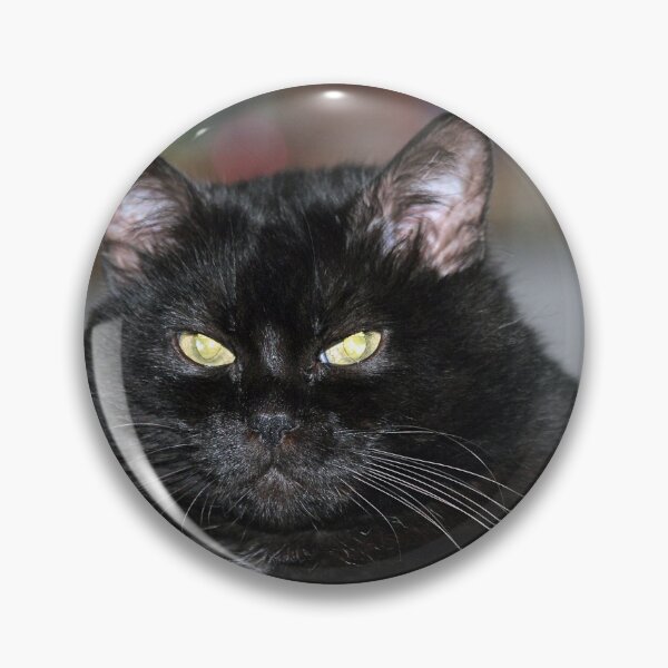 Item preview, Black cat with strange green eyes designed and sold by Astralia.