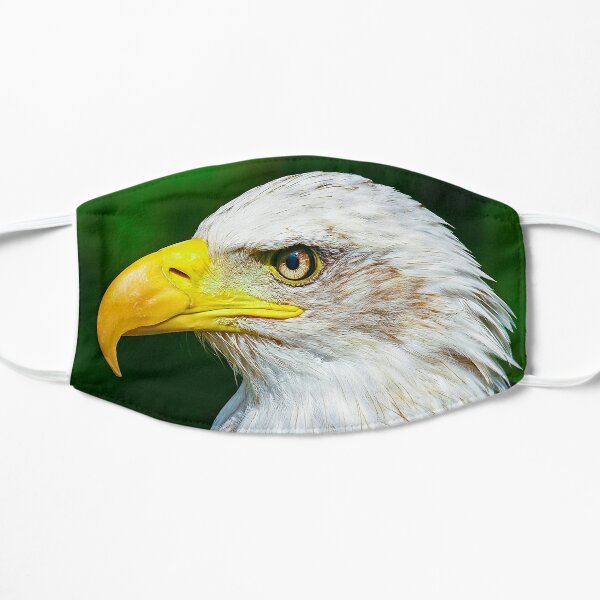 Bald Eagle Raptor Bird Head Beak Open Mens Casual Shorts Pants