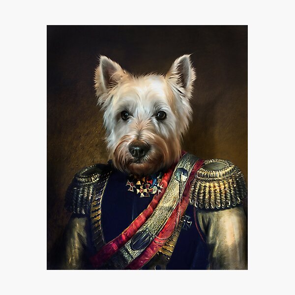 West Highland Dog Portrait - Meatball Photographic Print