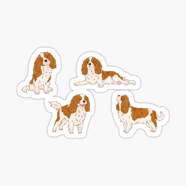 Blenheim Cavalier King Charles Spaniel Dog Sticker
