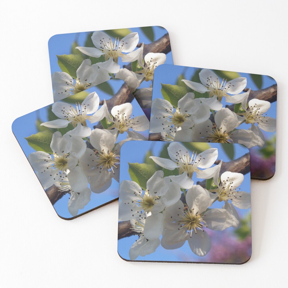 Item preview, Coasters (Set of 4) designed and sold by 3dgartstudio.