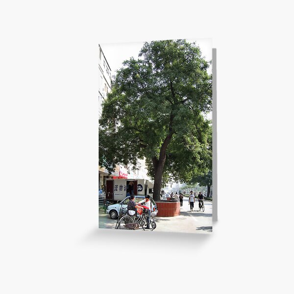 Beijing 2006 - Protecting the trees (1) Greeting Card
