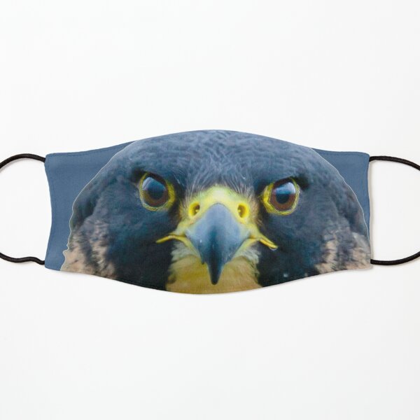 The Eyes of a Peregrine Falcon Kids Mask