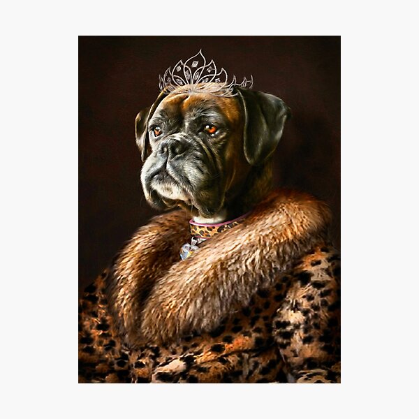 Boxer Dog Portrait - Ruby Photographic Print