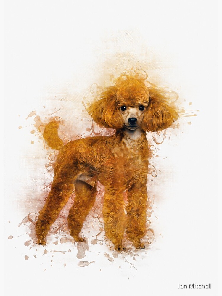 Poodle art clearance prints