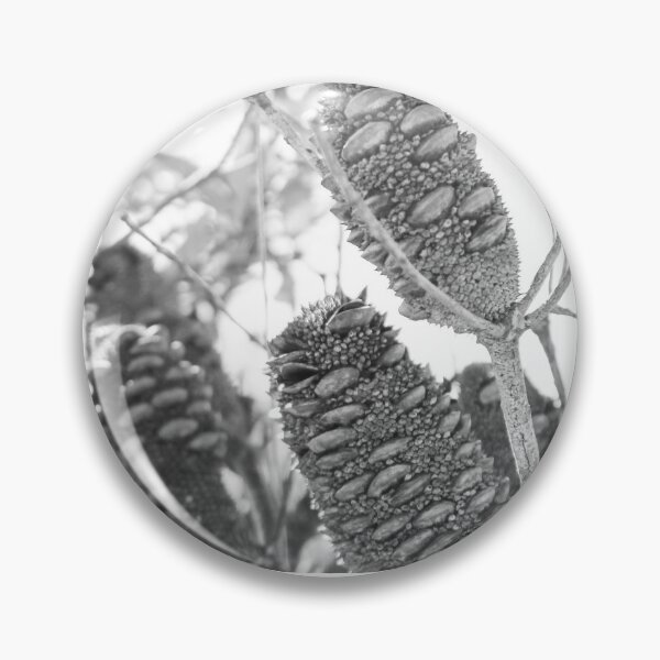 Item preview, Black and White Australian Banksia Photography (White)  designed and sold by Sara Photography.