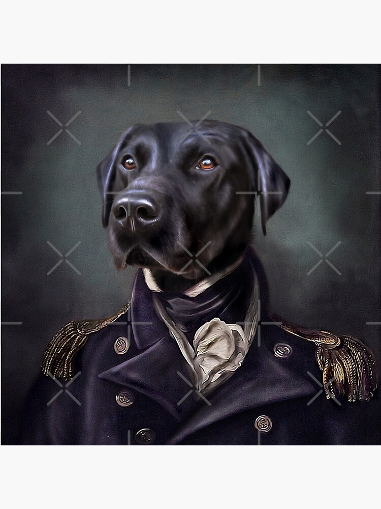 Labrador Portrait - Jake by carpo17