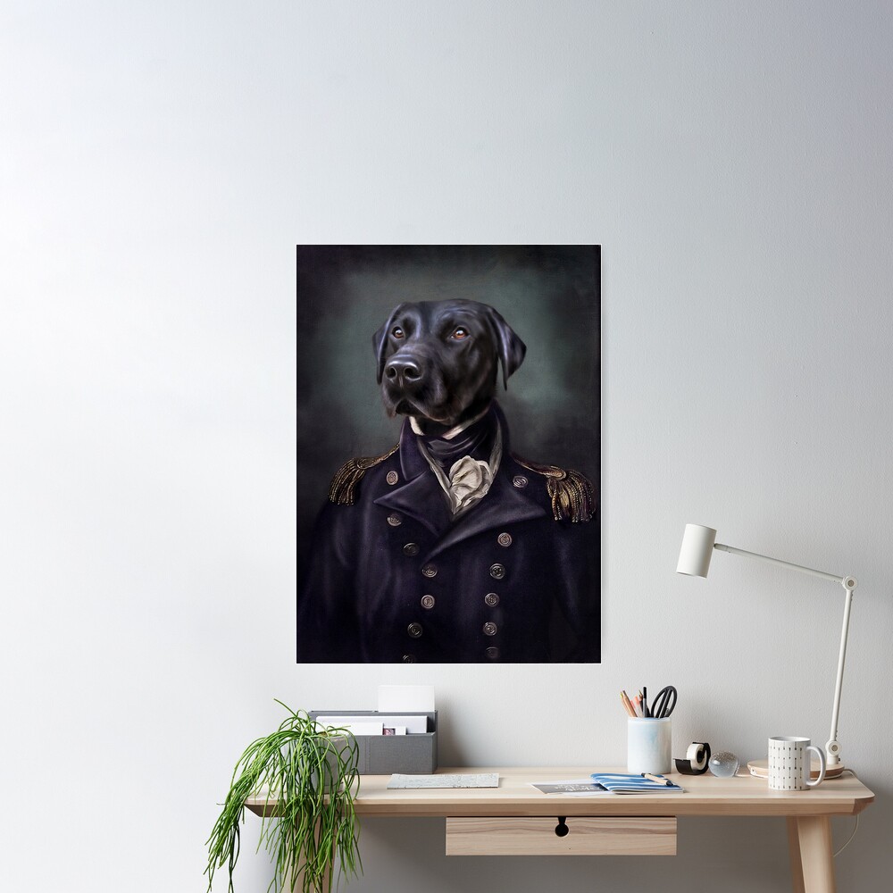 Labrador Portrait - Jake  Poster