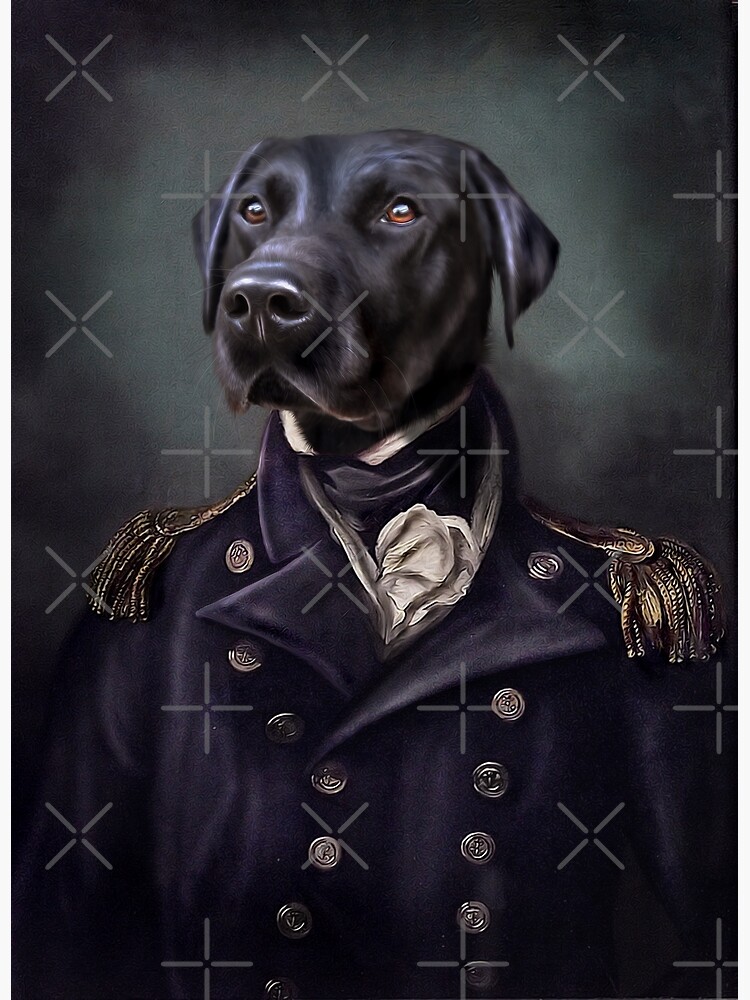 Labrador Portrait - Jake by carpo17