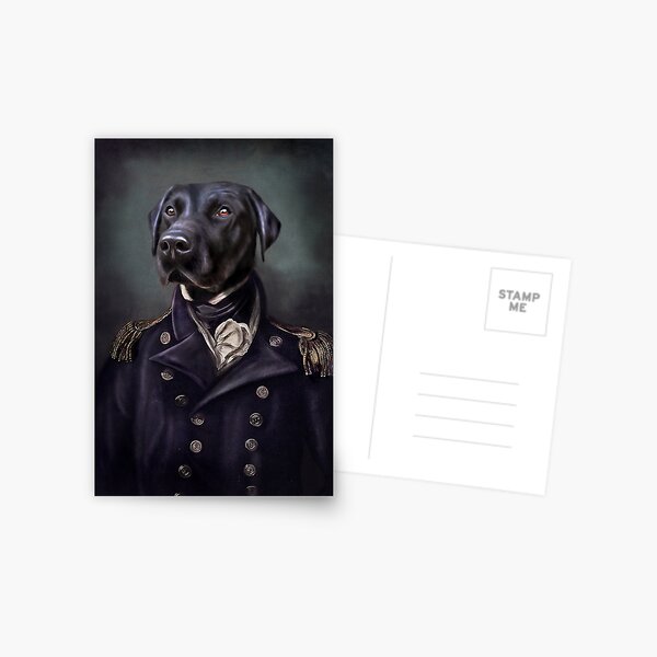 Labrador Portrait - Jake  Postcard