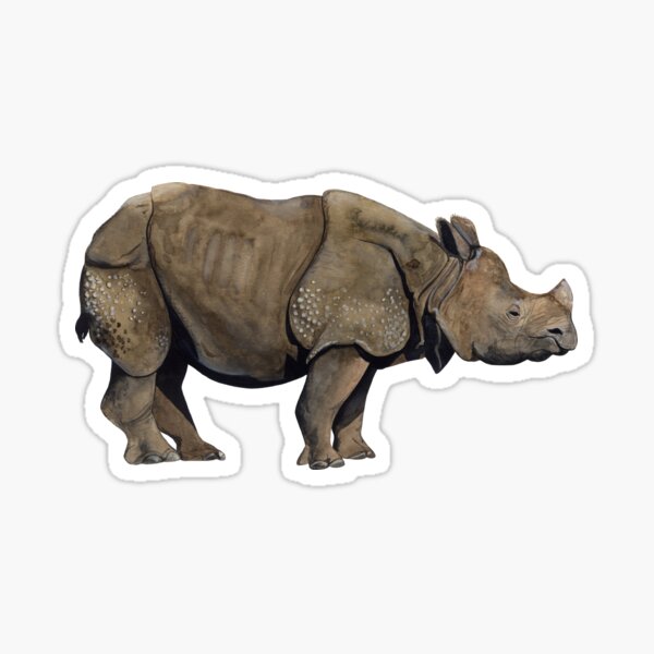 Details about / Rhino Rhinoceros Horn Vinyl Decal Sticker ebn2804 Multiple Patterns /& Size